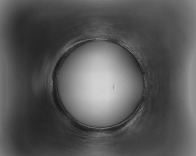 X0000088640246200705250924