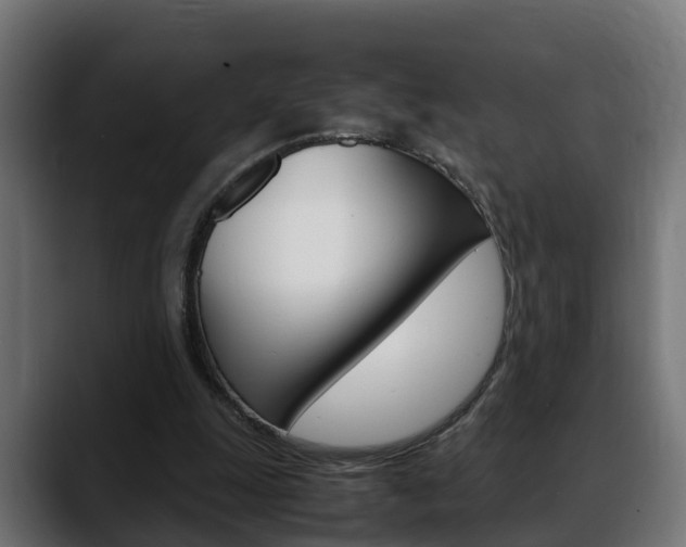 X0000088640247200705250924