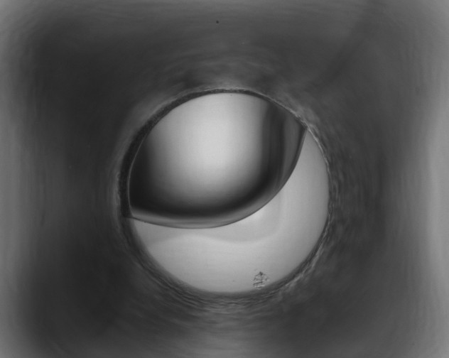 X0000088640248200705250924