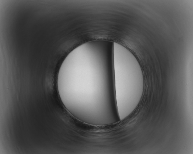 X0000088640255200705250925