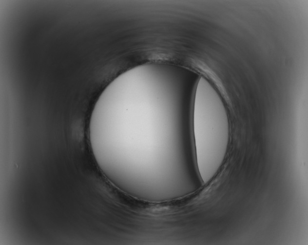 X0000088640257200705250925