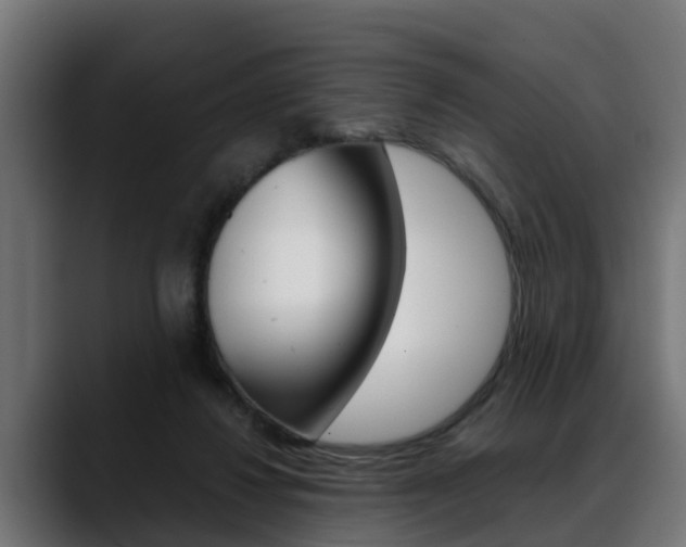 X0000088640260200705250925