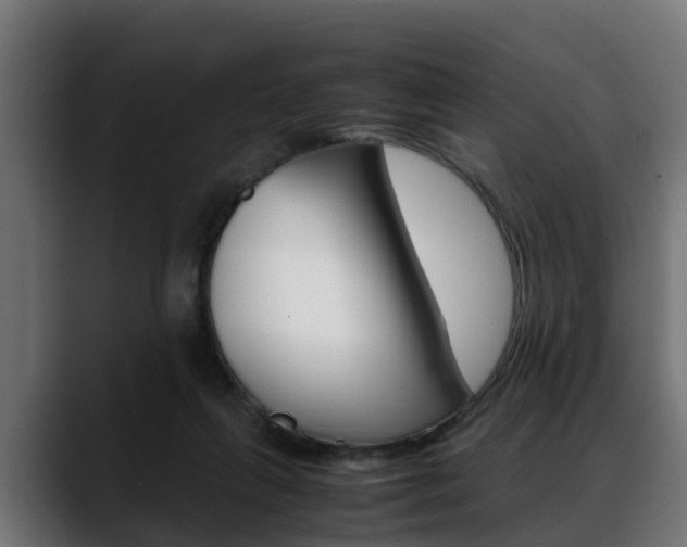 X0000088640263200705250925