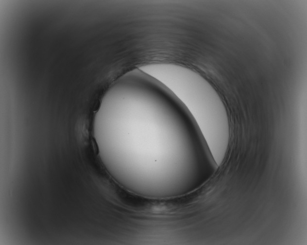 X0000088640264200705250925