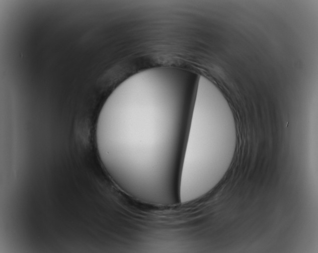 X0000088640266200705250925