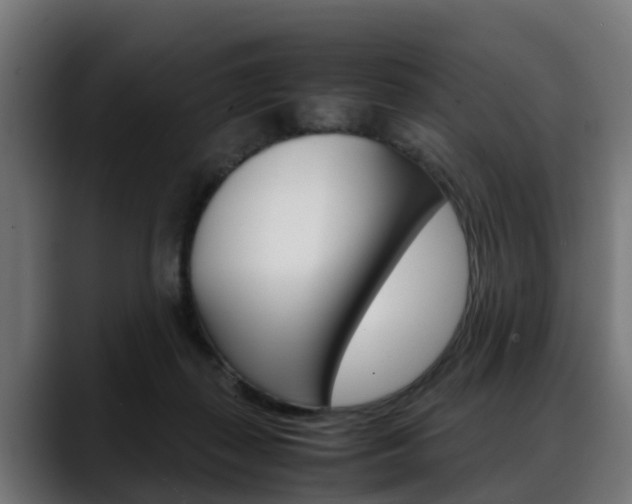 X0000088640267200705250925