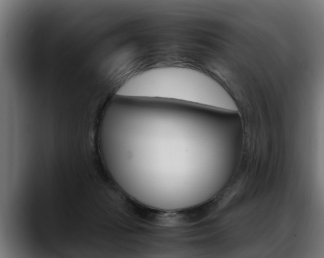X0000088640269200705250925
