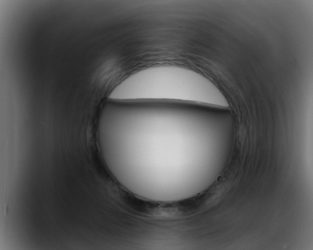 X0000088640270200705250925
