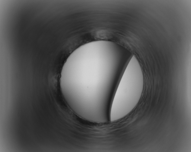 X0000088640271200705250925