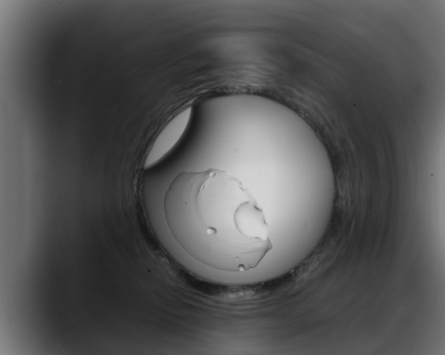 X0000088640278200705250925