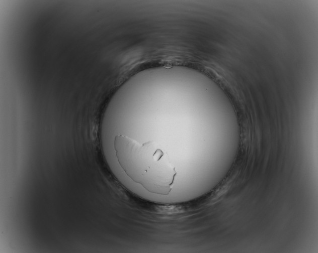 X0000088640281200705250925