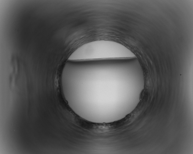 X0000088640282200705250925
