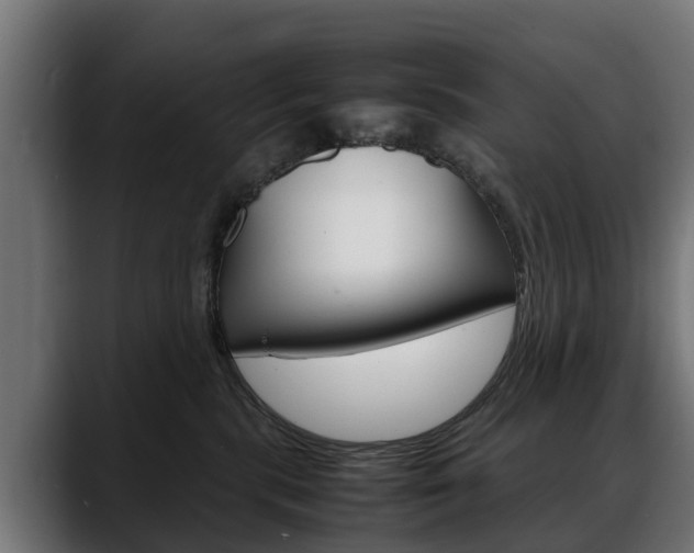 X0000088640283200705250925