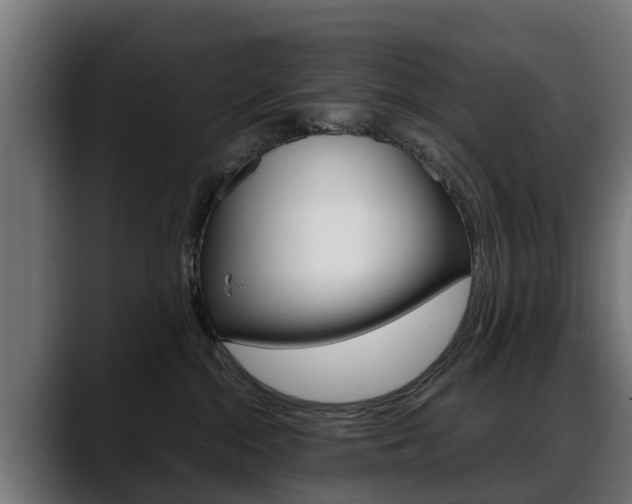 X0000088640284200705250925