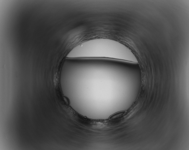 X0000088640285200705250925