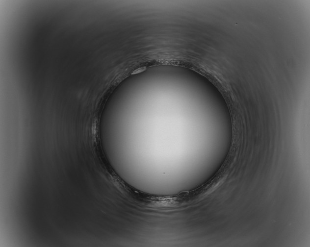 X0000088640288200705250925