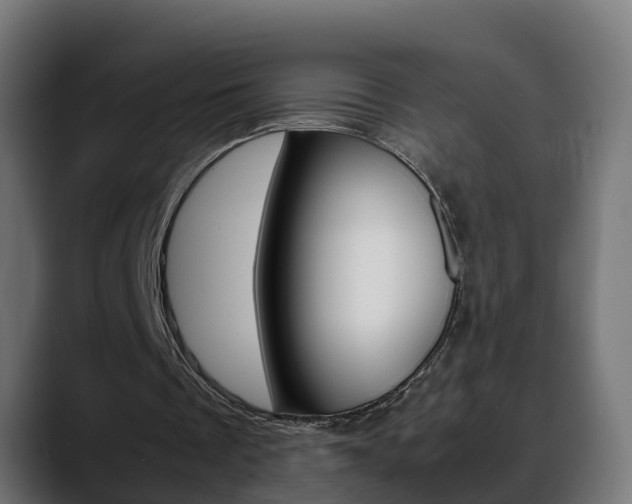 X0000088640289200705250924