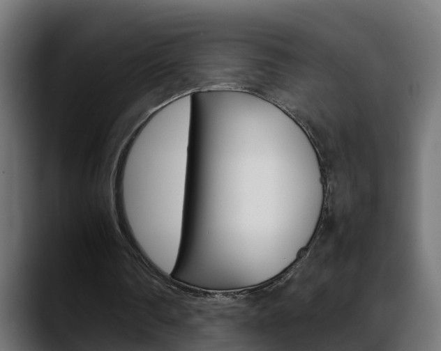 X0000088640290200705250924