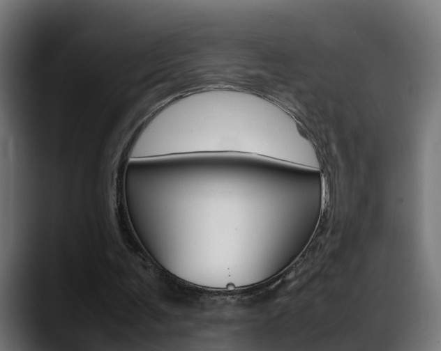 X0000088640291200705250924