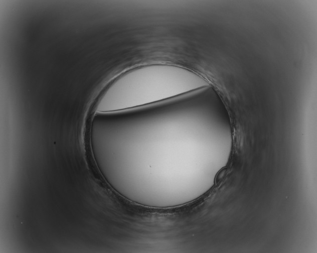 X0000088640292200705250924