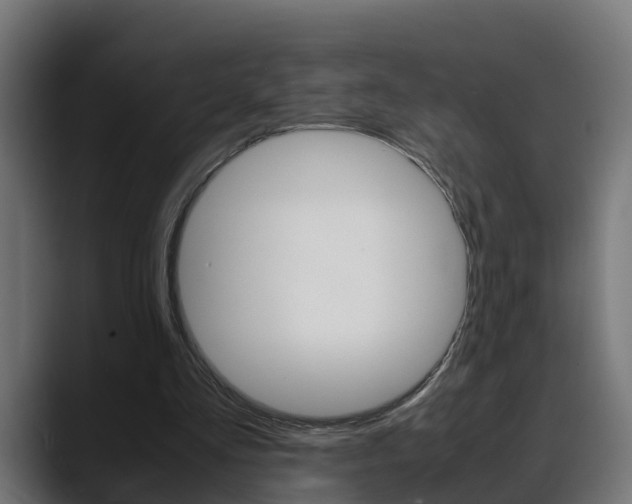 X0000088640293200705250924