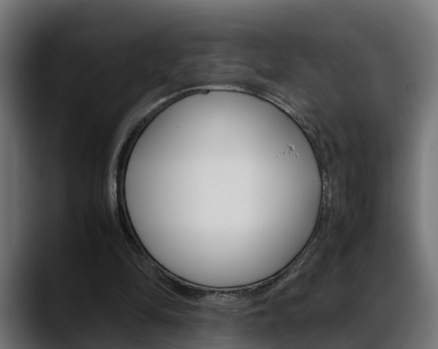 X0000088640294200705250924