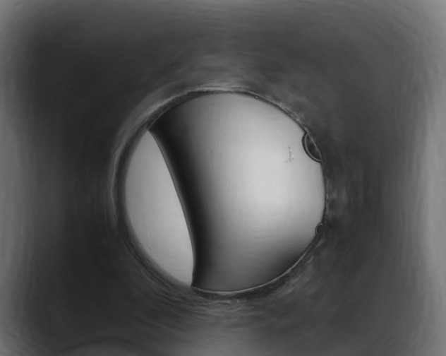 X0000088640296200705250924