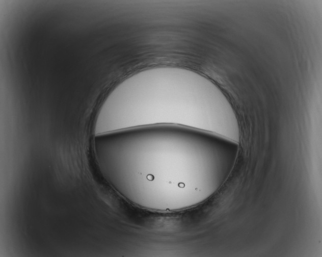 X0000088640303200705250924