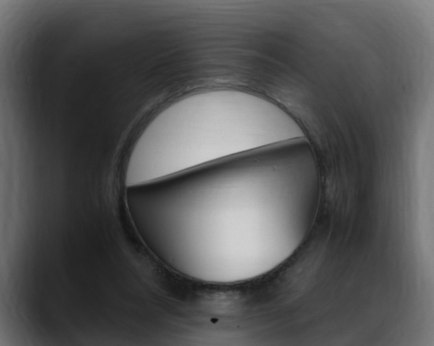 X0000088640304200705250924