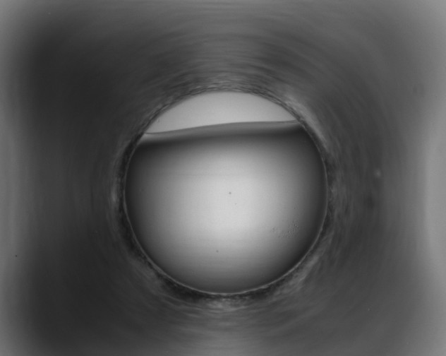 X0000088640305200705250924