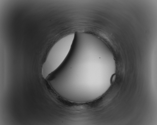 X0000088640307200705250924