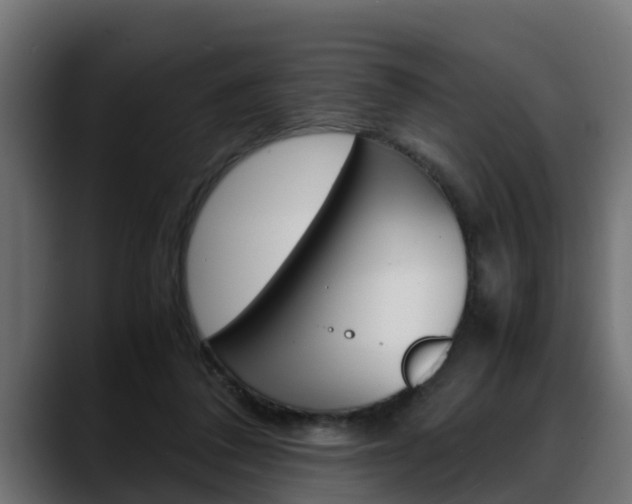 X0000088640308200705250924