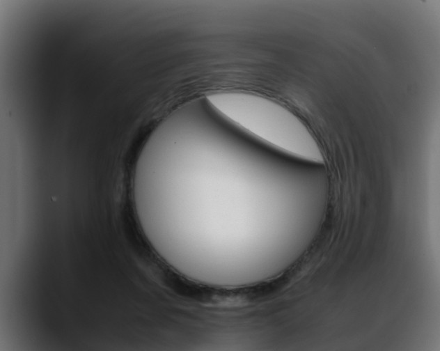 X0000088640311200705250924