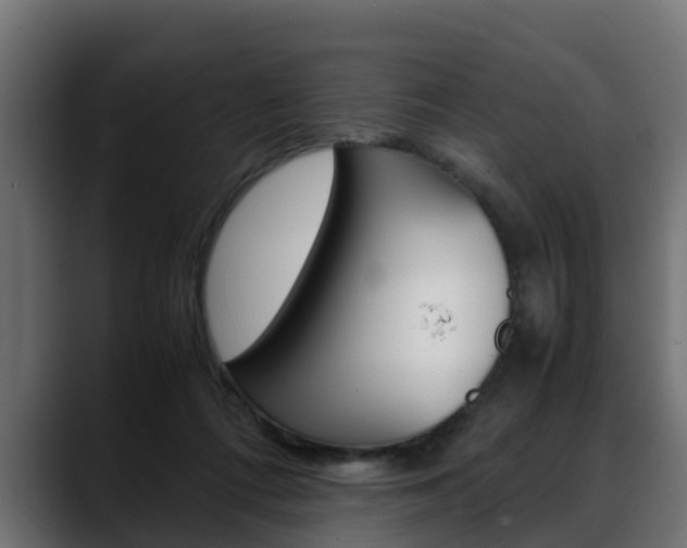 X0000088640312200705250924