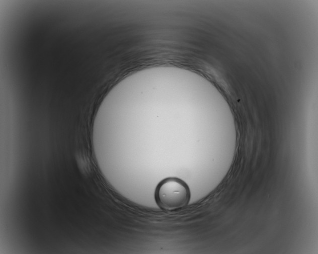 X0000088640313200705250924