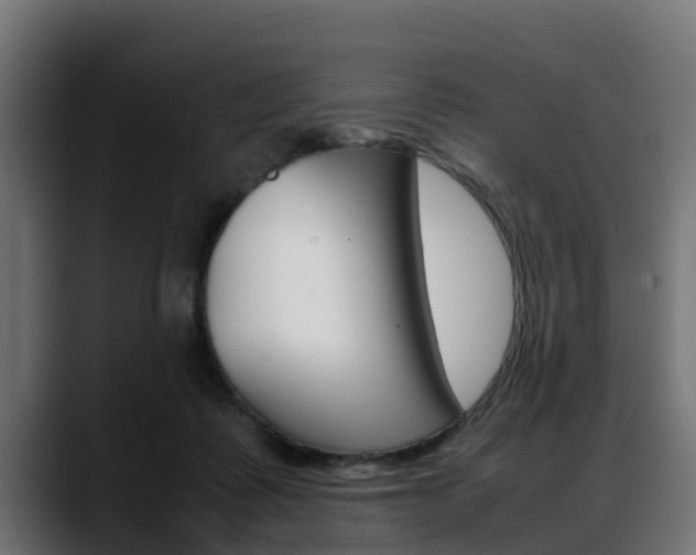 X0000088640315200705250924
