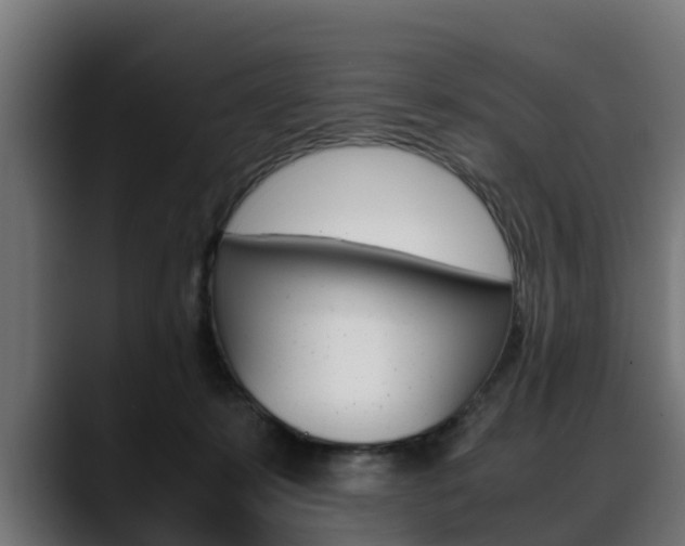 X0000088640319200705250924