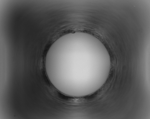 X0000088640323200705250924