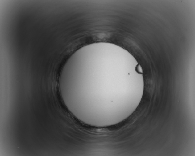 X0000088640324200705250924