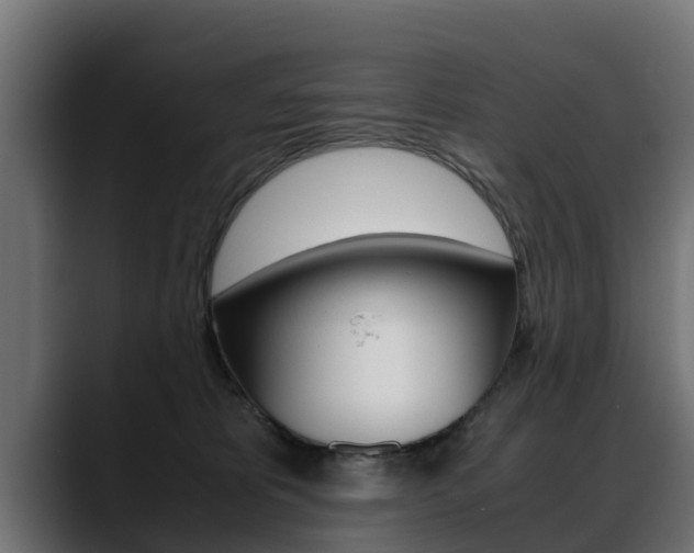 X0000088640325200705250924