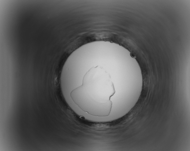 X0000088640327200705250924