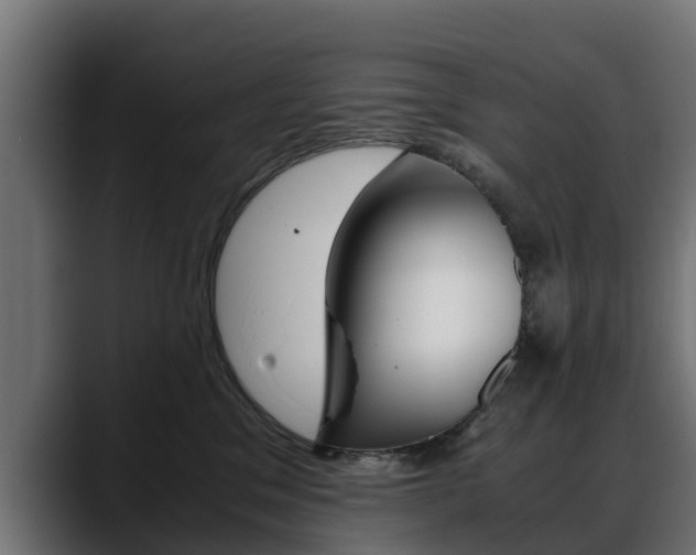 X0000088640329200705250924
