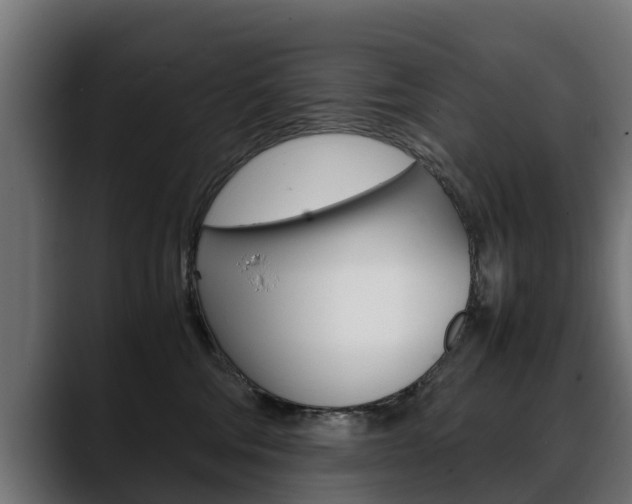 X0000088640330200705250924