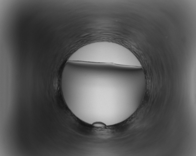 X0000088640331200705250924