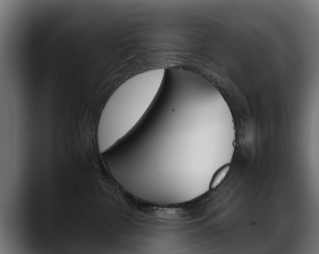 X0000088640332200705250924