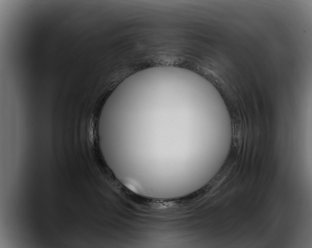 X0000088640334200705250924