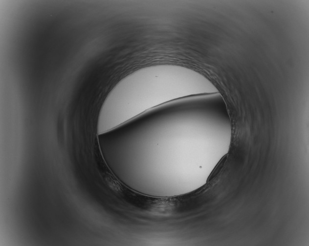 X0000088640335200705250924