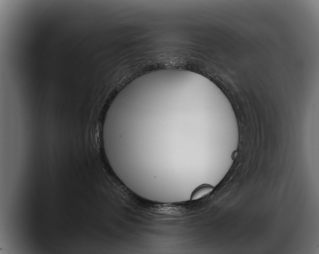 X0000088640336200705250924