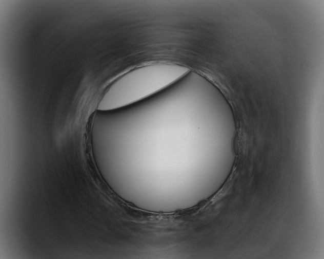 X0000088640338200705250923