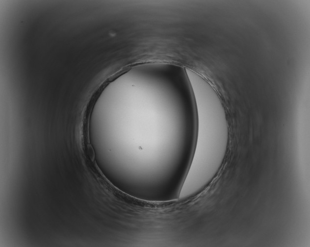 X0000088640340200705250923